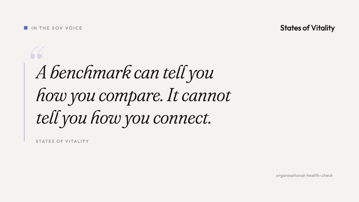 Pull quote: a benchmark can tell you how you compare, but it cannot tell you how you connect.