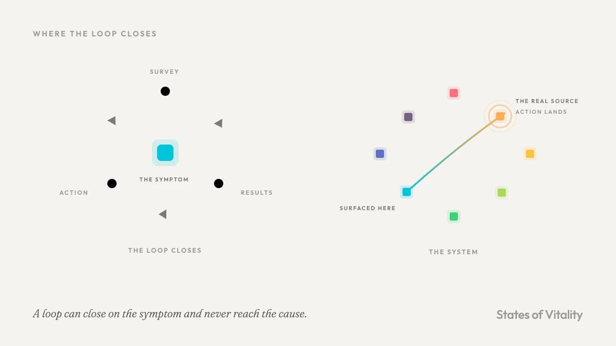 Diagram contrasting a survey loop that closes on the symptom with one that reads the connected system to find where the cause really sits.